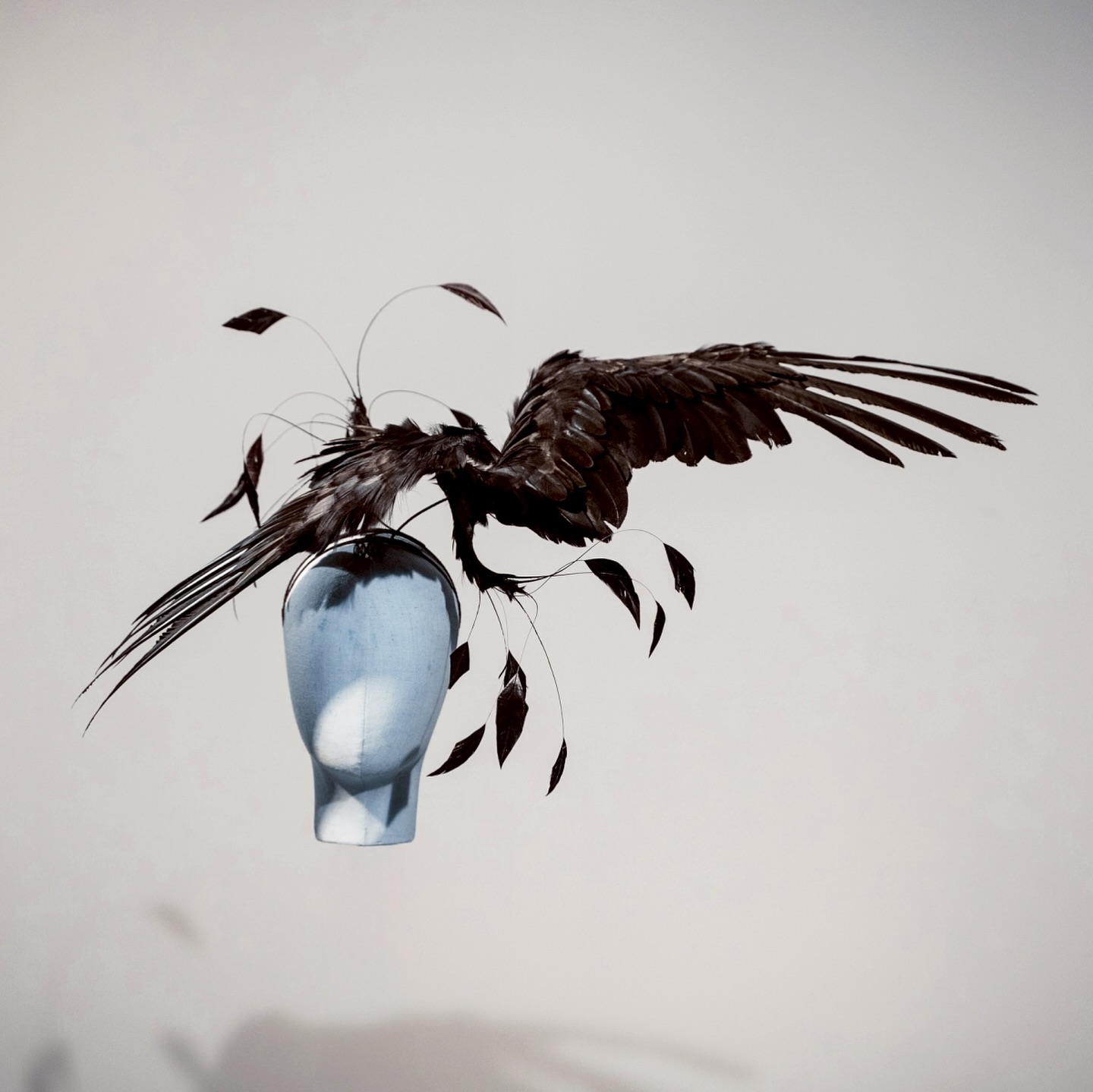 展翼黑鳥與流動葉片構成的頭飾作品